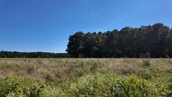 6.46 Acres of Land for Sale in Wallace, North Carolina