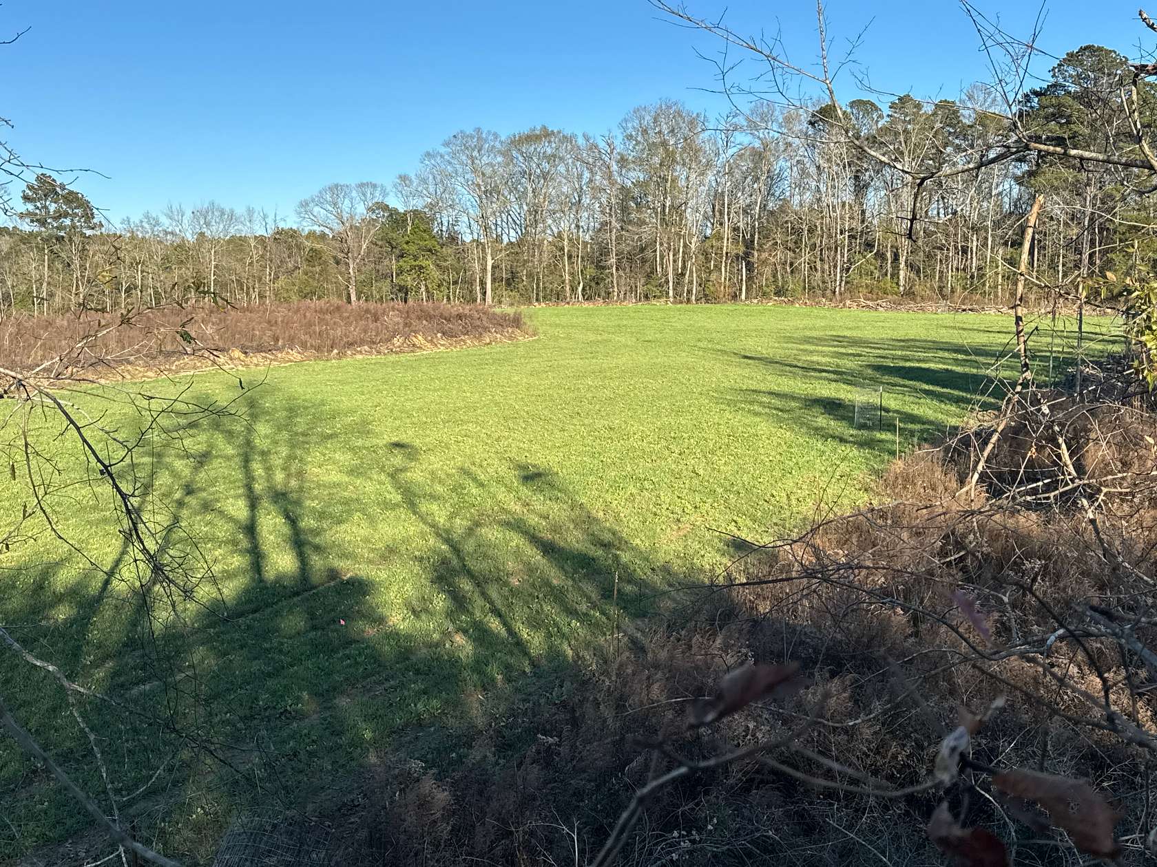 42.5 Acres of Land for Sale in Gloster, Mississippi