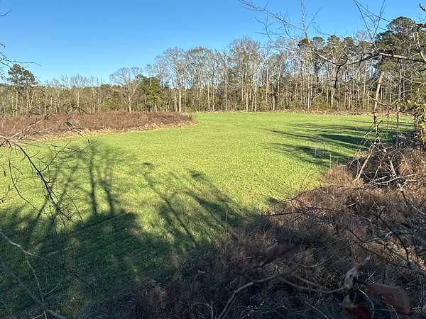 42.5 Acres of Land for Sale in Gloster, Mississippi