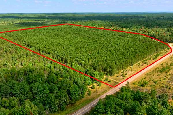 80 Acres of Land for Sale in Augusta, Wisconsin