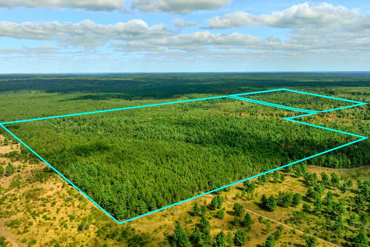 120 Acres of Land for Sale in Augusta, Wisconsin