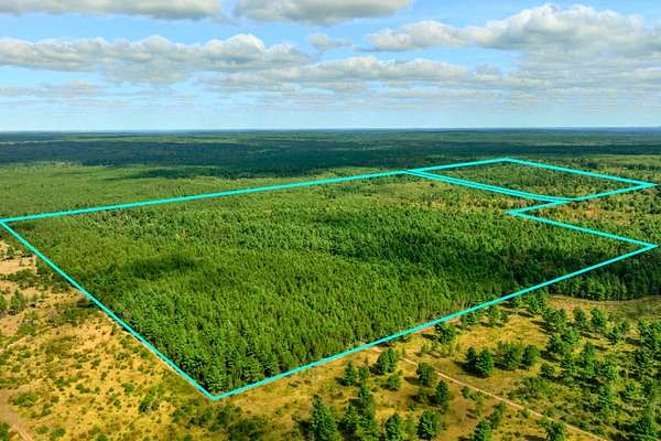120 Acres of Land for Sale in Augusta, Wisconsin