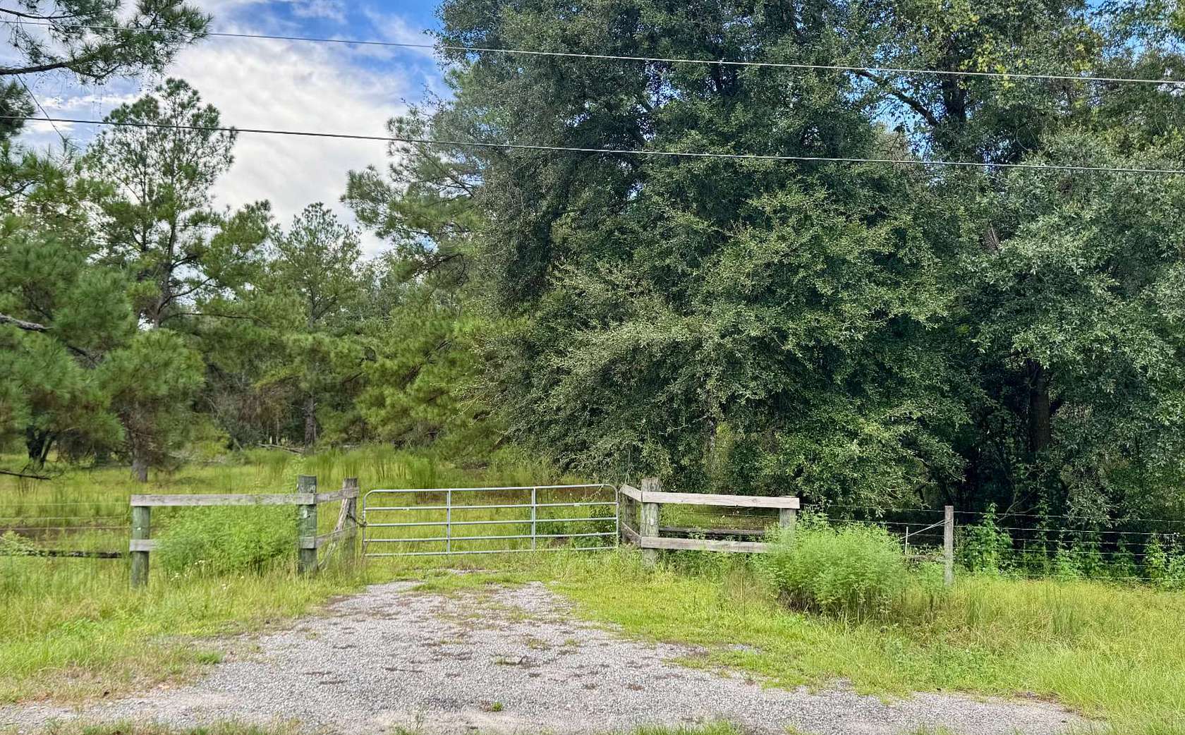 10.7 Acres of Agricultural Land for Sale in Pinetta, Florida