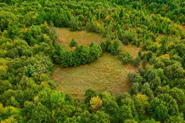 84.9 Acres of Land for Sale in Augusta, Wisconsin