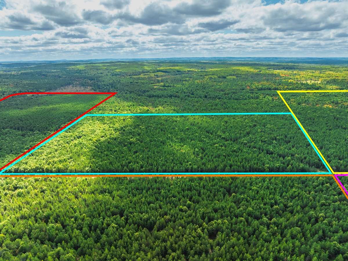 43 Acres of Land for Sale in Augusta, Wisconsin