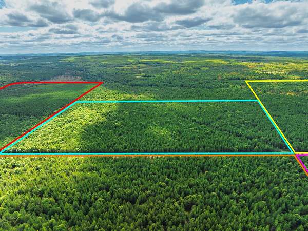 43 Acres of Land for Sale in Augusta, Wisconsin
