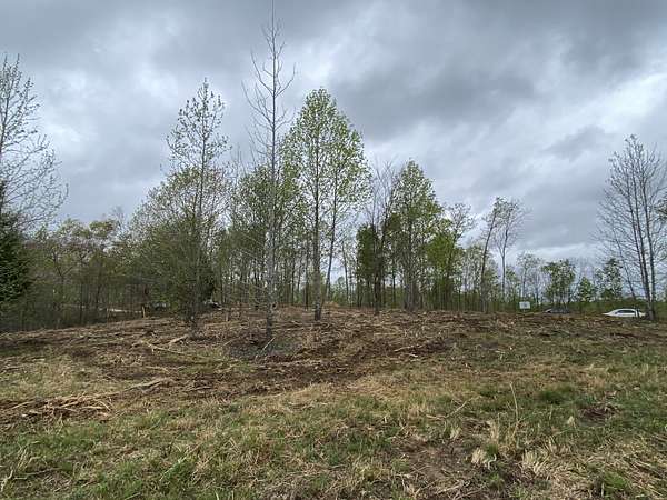 10 Acres of Recreational & Residential Land for Sale in Stewart, Tennessee