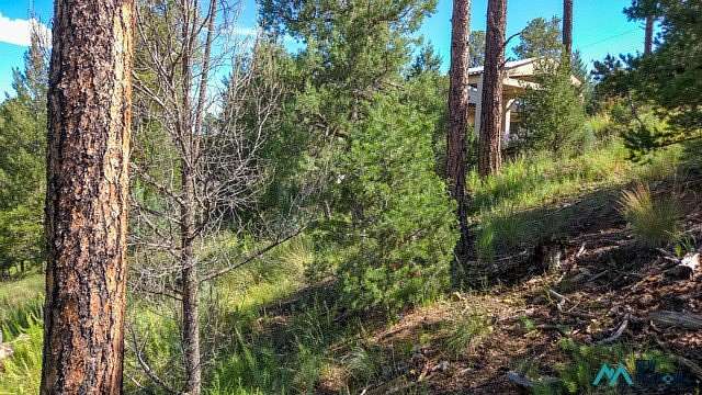 1.16 Acres of Land for Sale in Alto, New Mexico