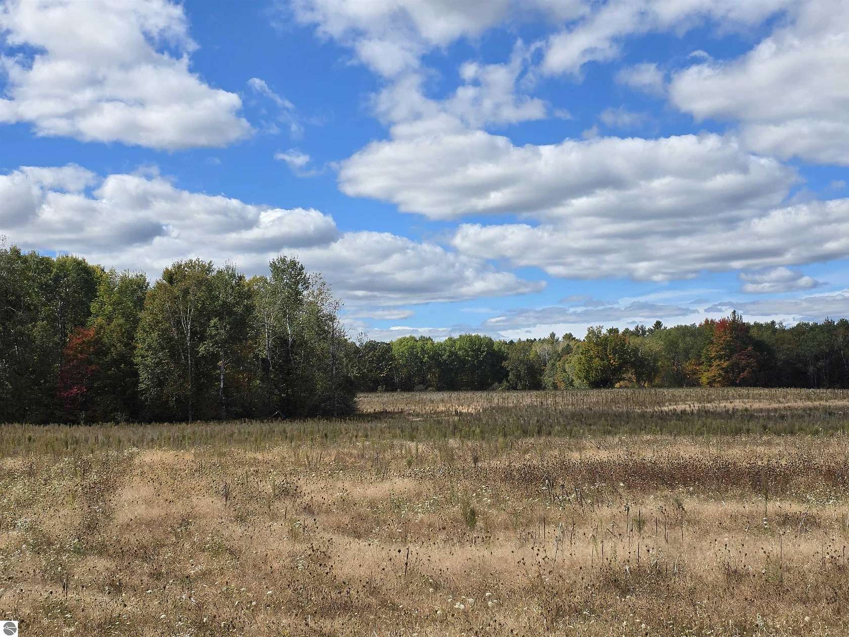 68.7 Acres of Land for Sale in Hale, Michigan