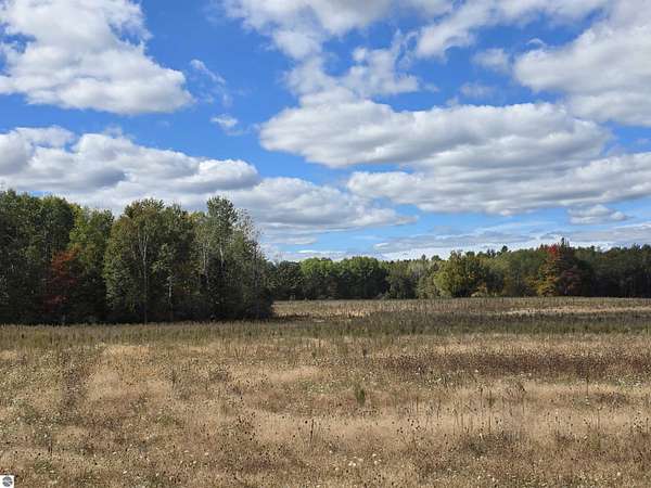 68.7 Acres of Land for Sale in Hale, Michigan