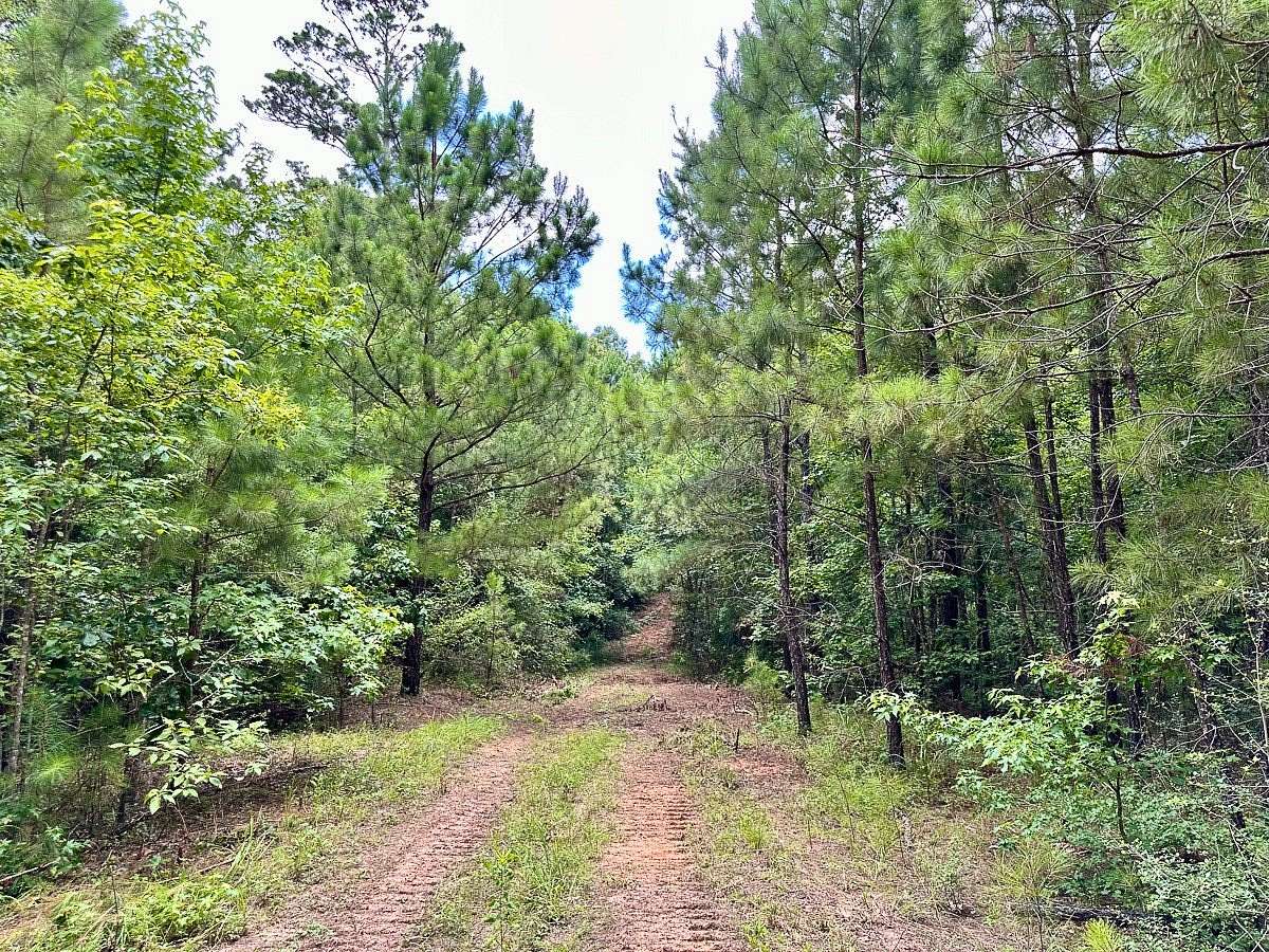 62.7 Acres of Recreational & Residential Land for Sale in Crockett, Texas