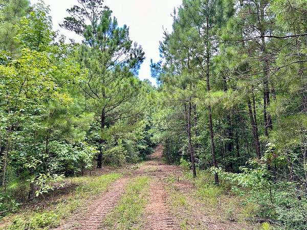 62.7 Acres of Recreational & Residential Land for Sale in Crockett, Texas