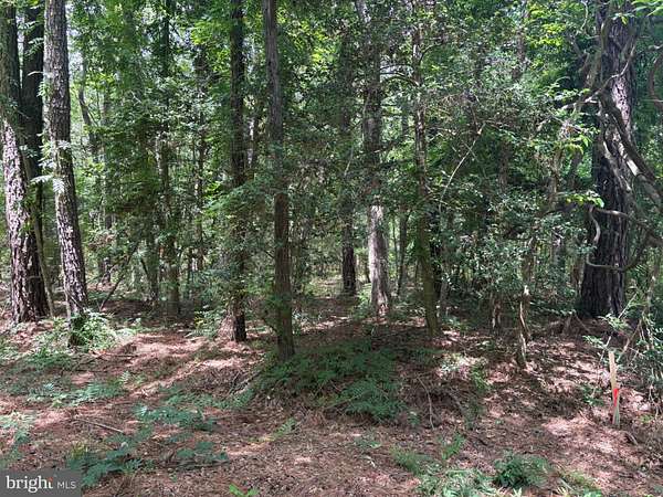 0.25 Acres of Residential Land for Sale in Hague, Virginia