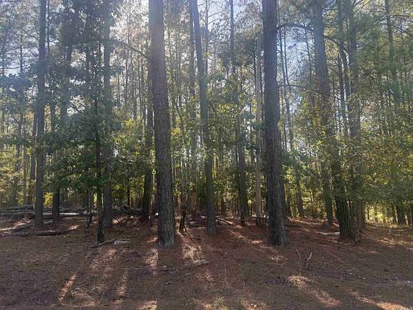 0.56 Acres of Land for Sale in Hot Springs Village, Arkansas