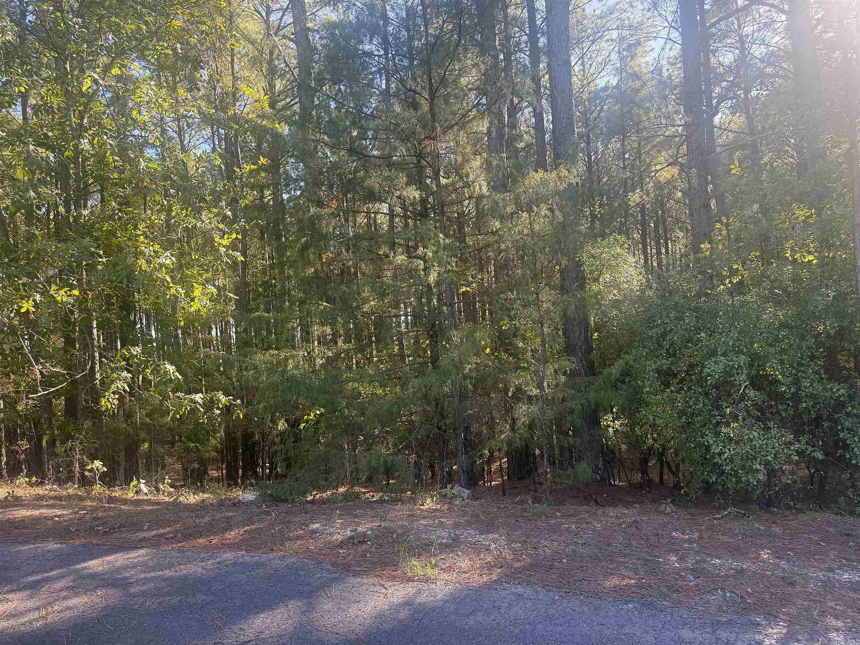 0.86 Acres of Land for Sale in Hot Springs Village, Arkansas