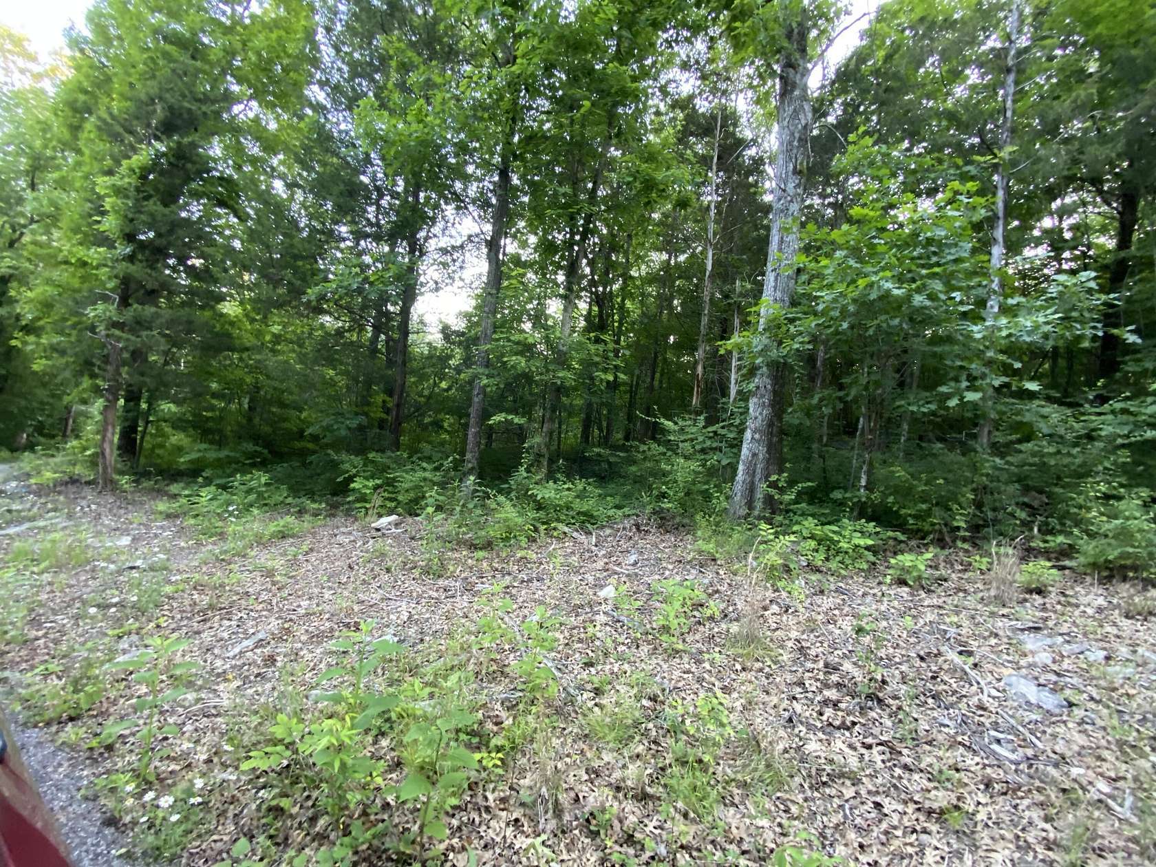 20 Acres of Recreational Land for Sale in Burnside, Kentucky