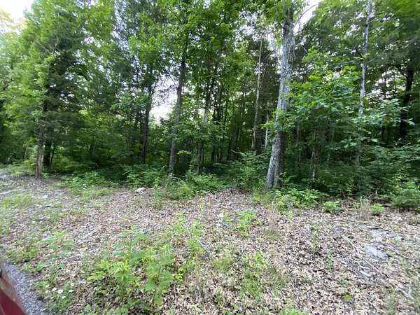 20 Acres of Recreational Land for Sale in Burnside, Kentucky