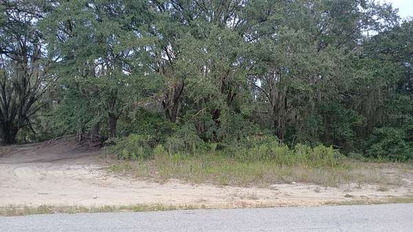 0.51 Acres of Residential Land for Sale in Ocklawaha, Florida