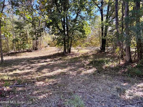 48.1 Acres of Land for Sale in Carrollton, Mississippi
