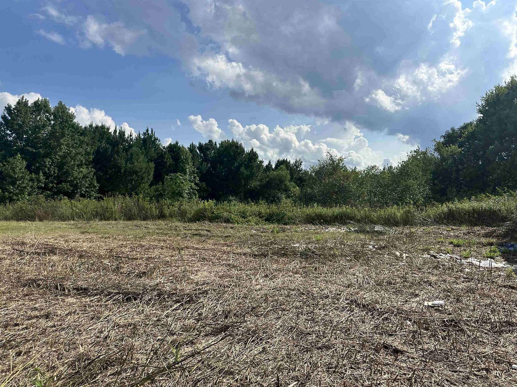 14.2 Acres of Improved Land for Sale in Bennettsville, South Carolina