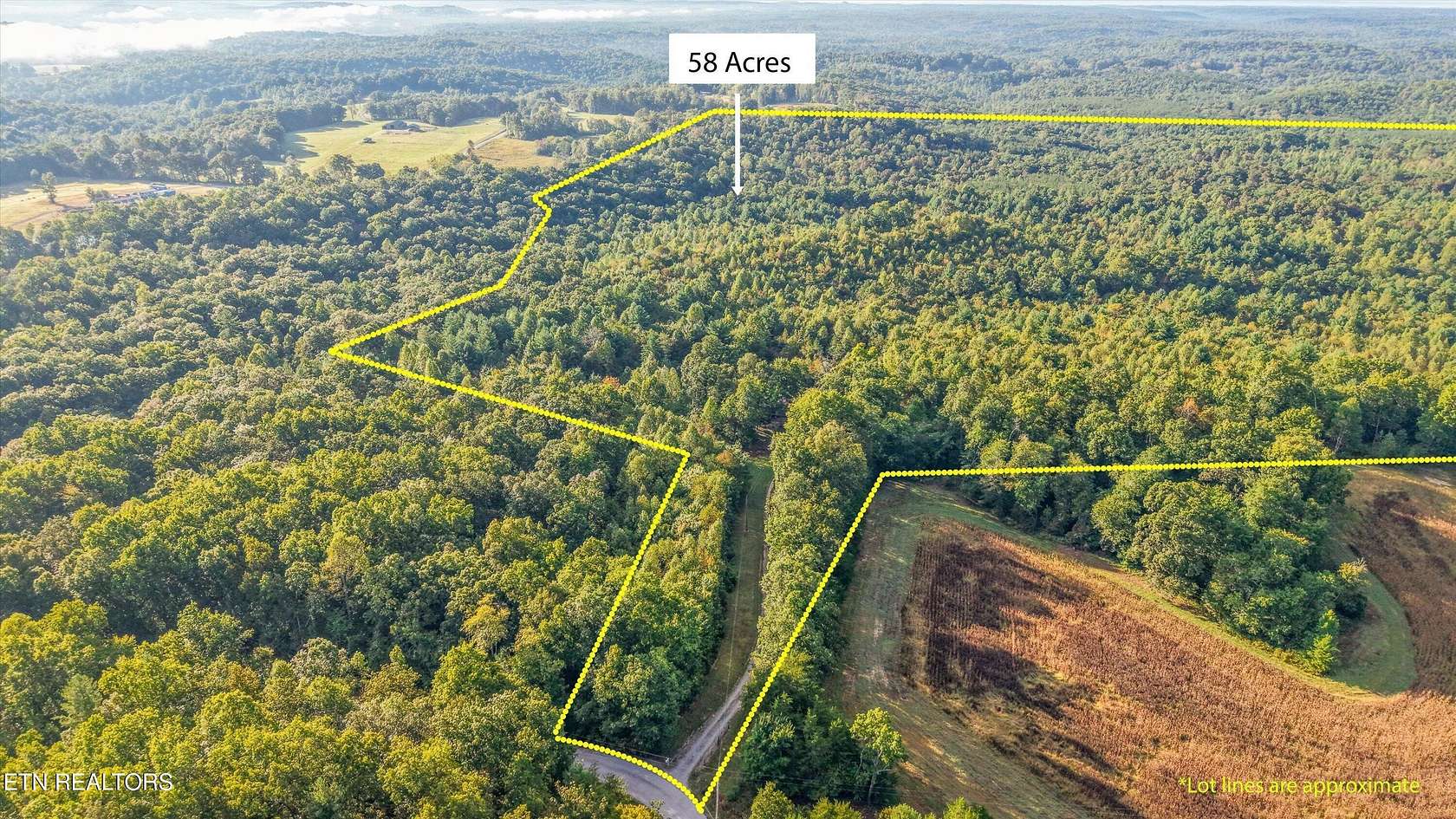 59.5 Acres of Improved Land for Sale in Sunbright, Tennessee