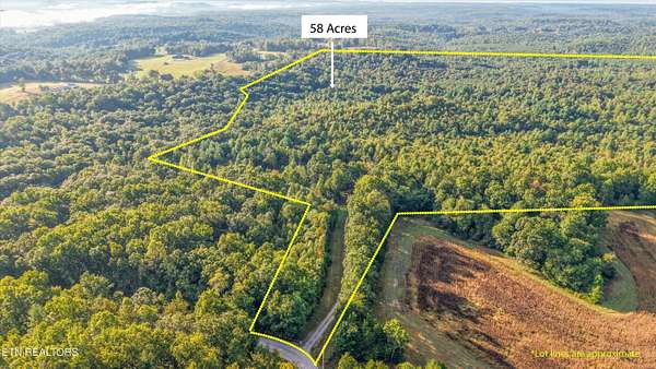59.5 Acres of Improved Land for Sale in Sunbright, Tennessee