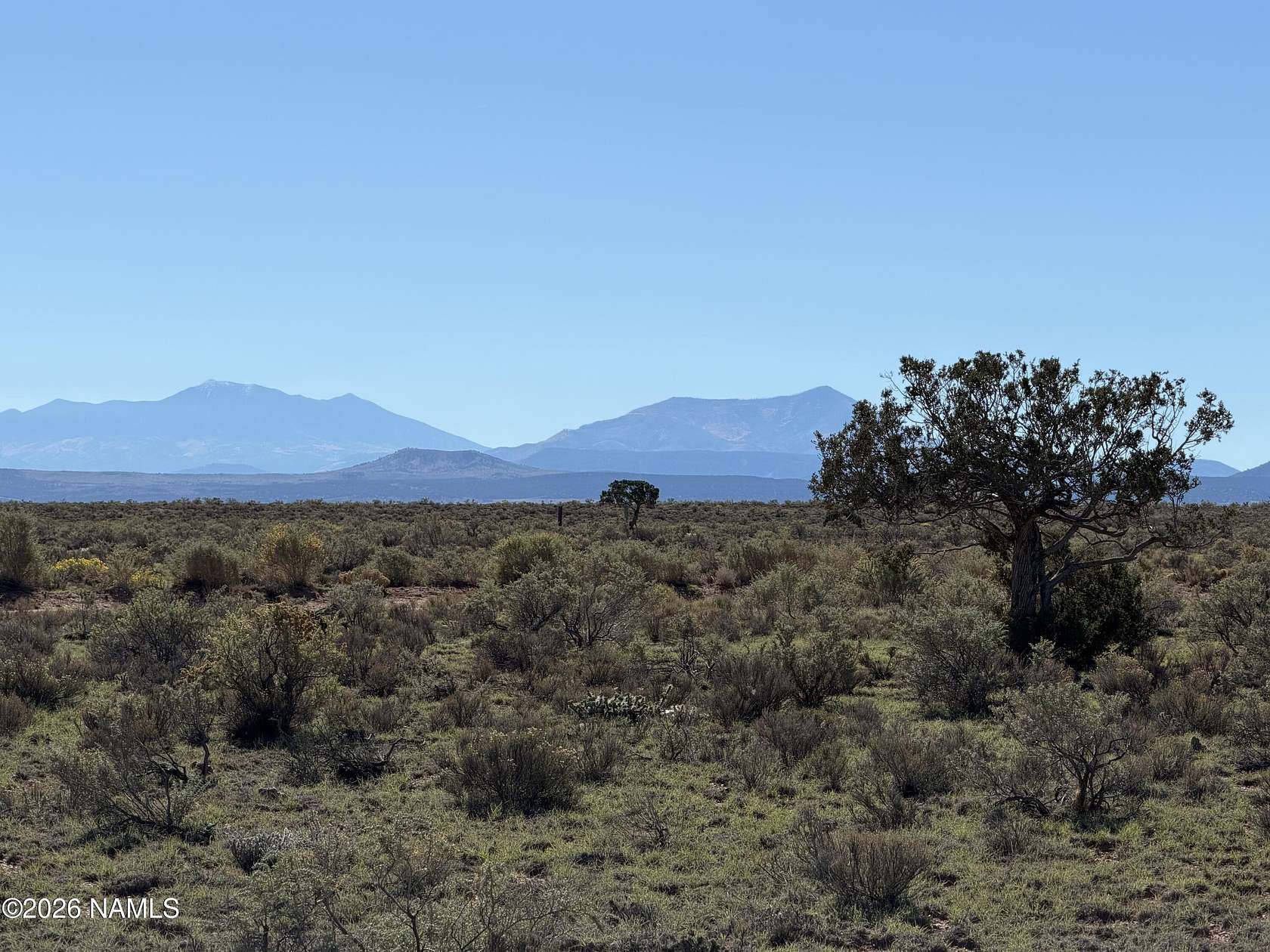 1 Acre of Residential Land for Sale in Williams, Arizona