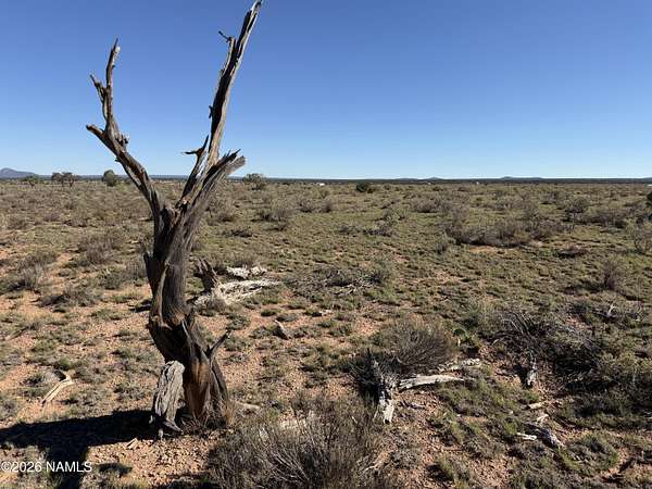 1.1 Acres of Residential Land for Sale in Williams, Arizona