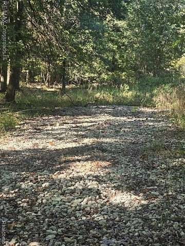 3 Acres of Residential Land for Sale in Sumpter Township, Michigan