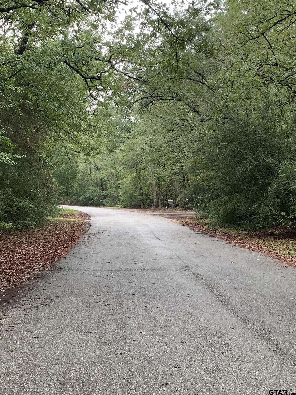 0.18 Acres of Residential Land for Sale in Holly Lake Ranch, Texas