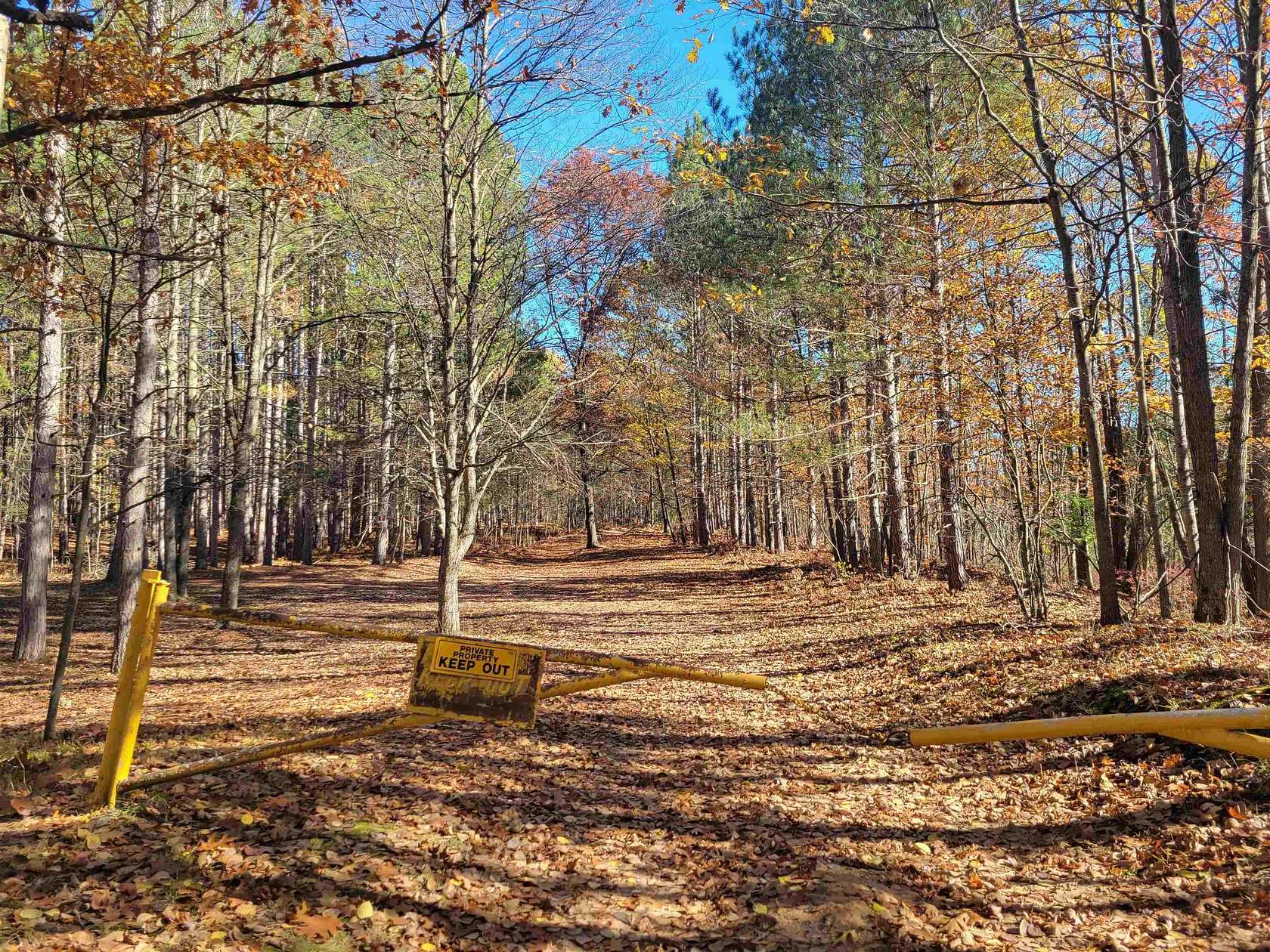 40 Acres of Recreational Land with Home for Sale in Beaverton, Michigan