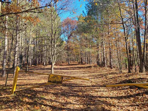 40 Acres of Recreational Land with Home for Sale in Beaverton, Michigan