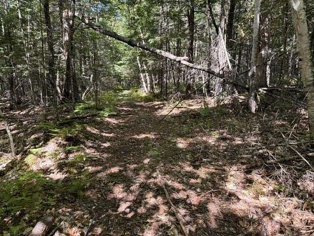 40 Acres of Recreational & Residential Land for Sale in Hartford, Maine