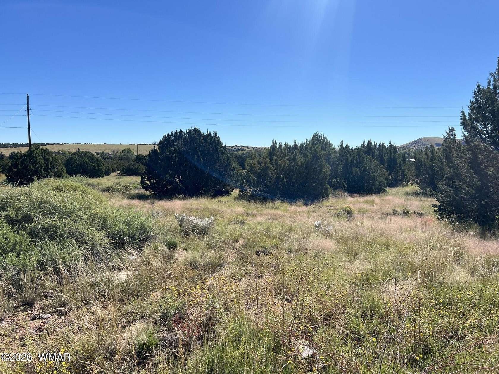 0.34 Acres of Residential Land for Sale in Concho, Arizona