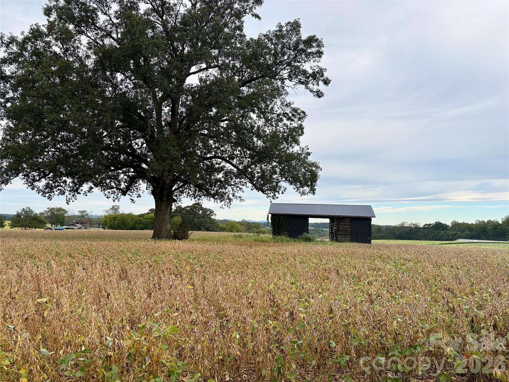 21.5 Acres of Land for Sale in Olin, North Carolina