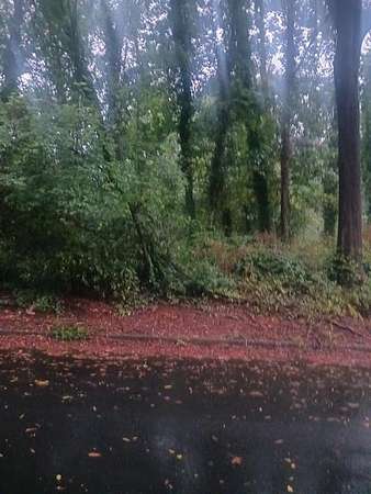0.05 Acres of Residential Land for Sale in Scottdale, Georgia