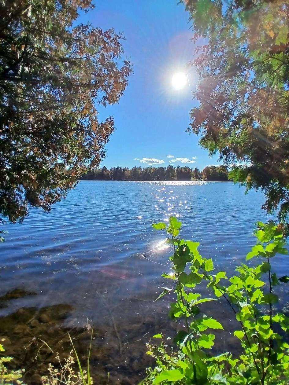 2.66 Acres of Land for Sale in Alpena, Michigan