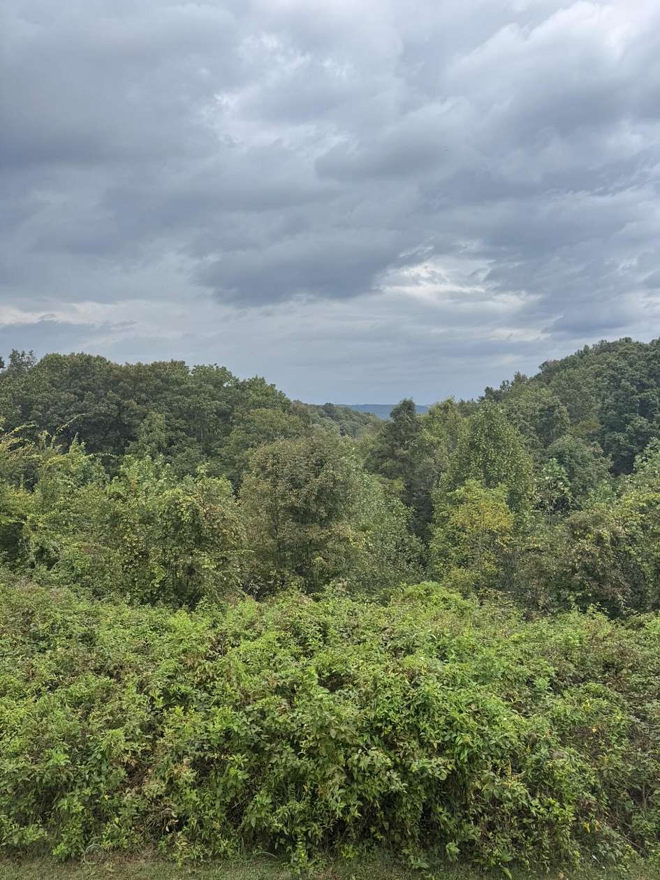 3.16 Acres of Land with Home for Sale in Columbia, Kentucky