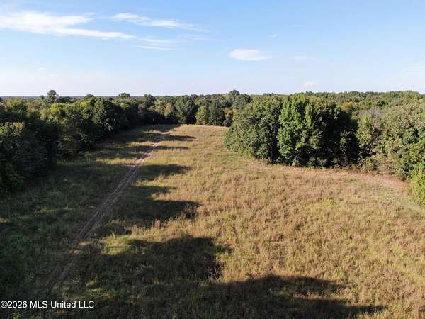 12 Acres of Land for Sale in Nesbit, Mississippi