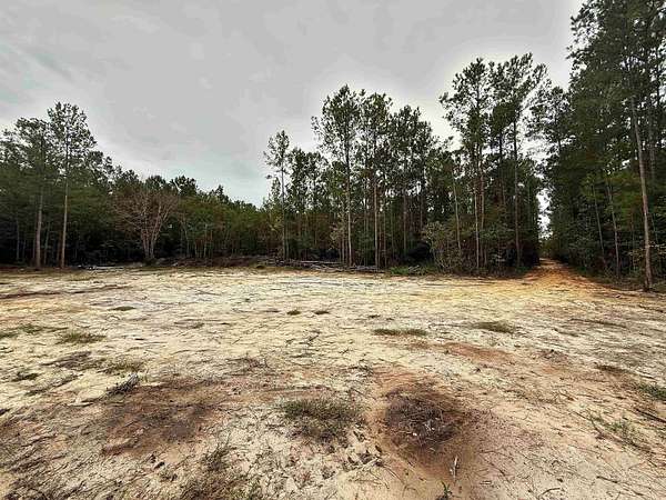 10 Acres of Land for Sale in Loris, South Carolina