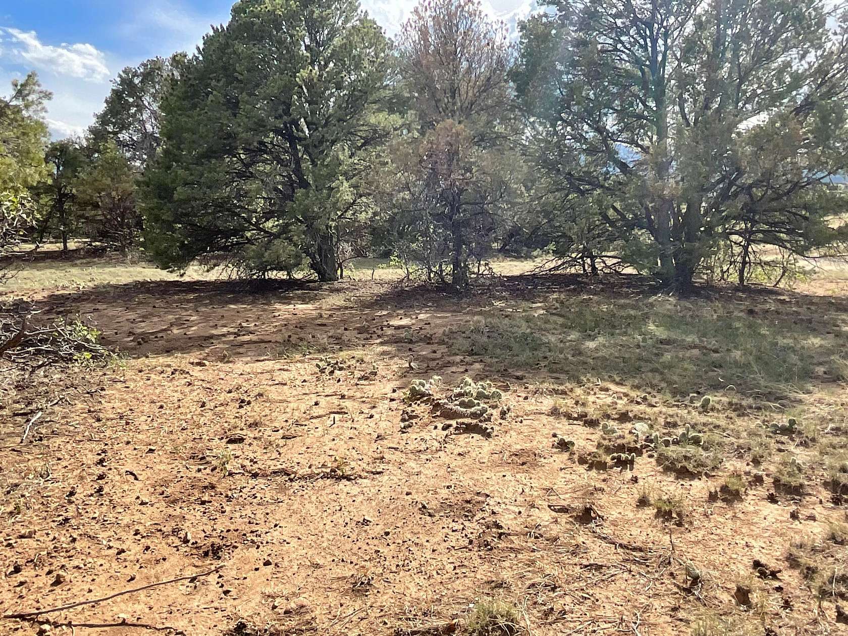 35 Acres of Land for Sale in Walsenburg, Colorado