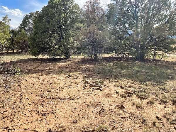 35 Acres of Land for Sale in Walsenburg, Colorado