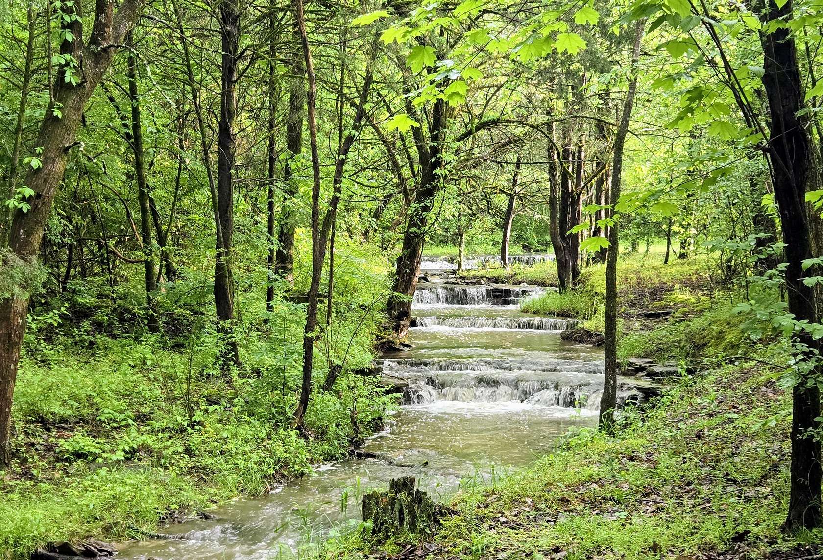 29.8 Acres of Land for Auction in Rockvale, Tennessee