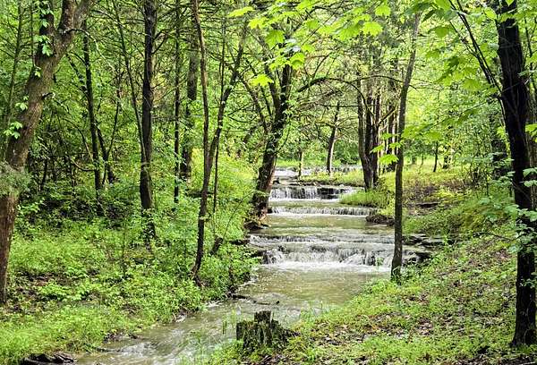 29.8 Acres of Land for Auction in Rockvale, Tennessee