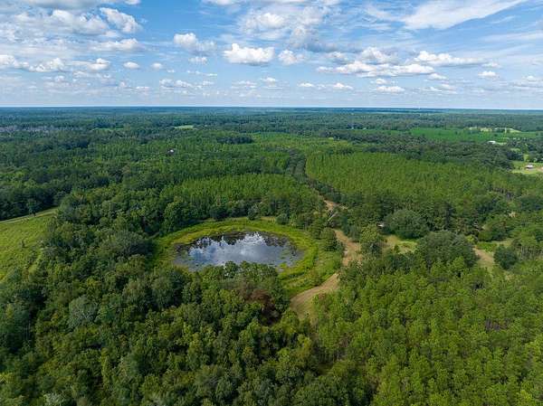 103 Acres of Recreational Land for Sale in Wacissa, Florida