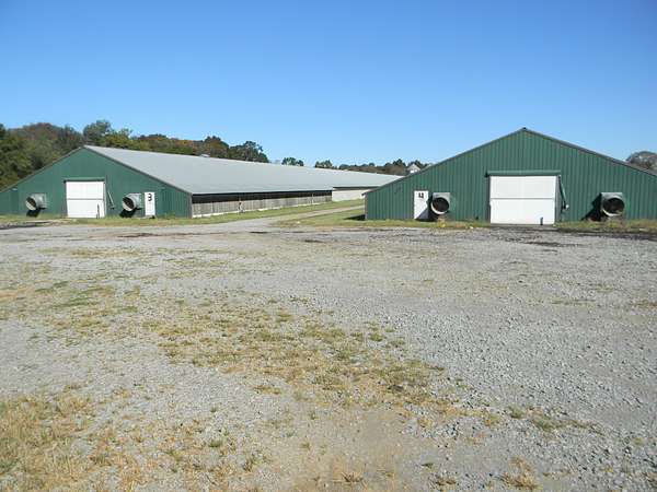 125 Acres of Improved Agricultural Land for Sale in Shelbyville, Tennessee