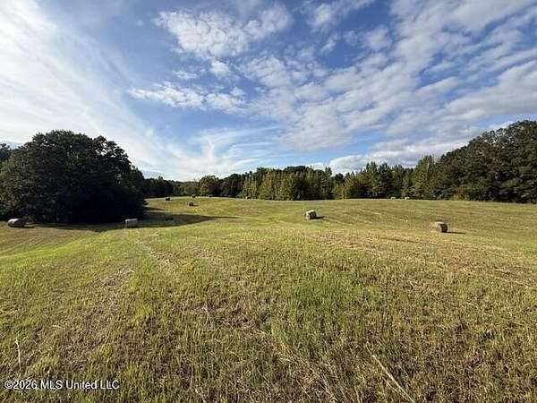 80.1 Acres of Agricultural Land for Sale in Como, Mississippi