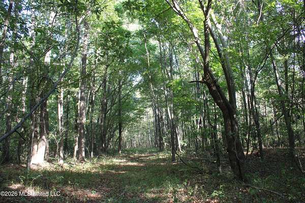 15.1 Acres of Land for Sale in Nesbit, Mississippi