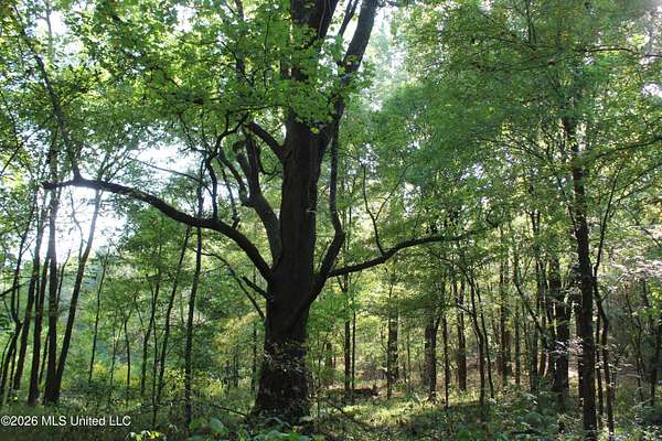 15.1 Acres of Land for Sale in Nesbit, Mississippi