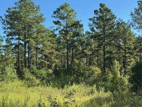 104 Acres of Recreational Land for Sale in Palestine, Texas